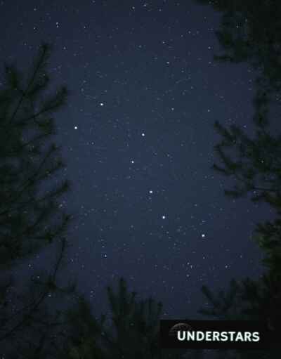 constelacion-cielo-nocturno-bosque
