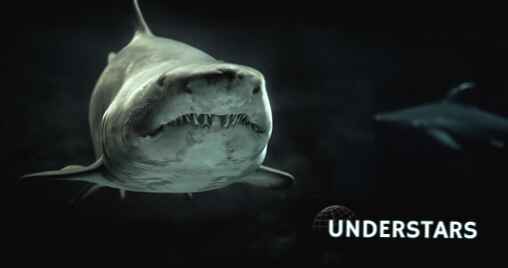tiburon-de-aguas-profundas